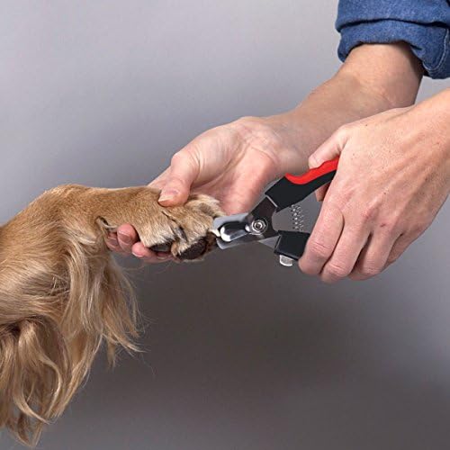 Lamber Professional Pet Nail Scissors (Tall 15.55cm)