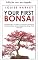 Livro Seu primeiro bonsai