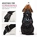 Pawaboo Dog Harness with Leash Set, X-Frame No Pull Pet Harness, Adjustable Choke Free Dog Vest Harness for Small Medium Dogs & Puppies, Breathable Puppy Vest with Leash for Walking, M, Lake Blue
