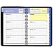 AT-A-GLANCE Weekly / Monthly Appointment Book / Planner 2017, QuickNotes, 4-7/8 x 8
