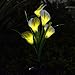 Chasgo Solar Decorative Garden Stake Light Outdoor, Led Lighting Calla Lily Flower Solar Graden Light Outdoor Stake, White Cally Lily Flower