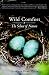 Wild Comfort: The Solace of Nature by Kathleen Dean Moore