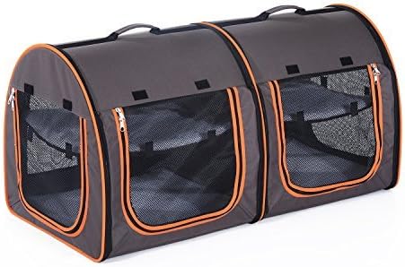 raw dog food serving size