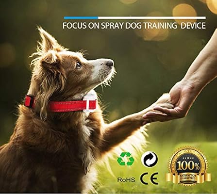 bark spray collars for small dogs