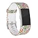 RedTaro Replacement Bands for Fitbit Charge 2 Small Owl/Charge 2 Bands/Charge 2 Wristbands/Fitbit Charge 2 Bracelets/Charge 2 Straps/Fitbit Charge 2 Bands/Fitbit Bands for Charge 2