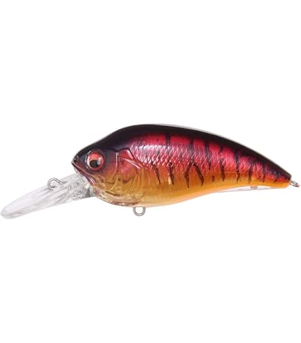 Amazon.com : Megabass Super-Z Z-2 Deep Diving Crankbait - GG