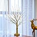 Bolylight LED Table Lamp Birch Money Tree Holder Night Light Centerpieces Great Decoration for Home/Christmas/Party/Festival/Wedding, 1.5ft Gold