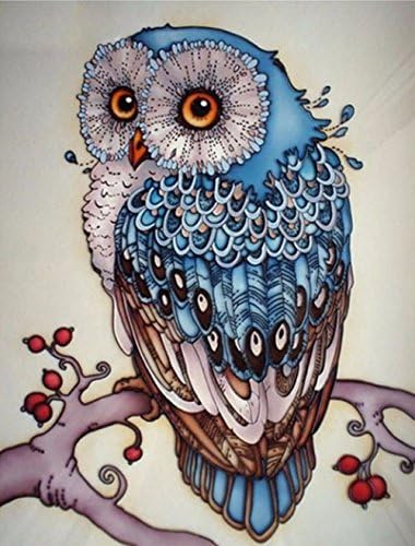 AIRDEA DIY 5D Diamond Painting Kit, Full Diamond Owl Embroidery