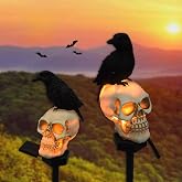 YZYOE 2 Packs of LED Solar Crow Skull Lights, Halloween Outdoor Atmosphere Decoration lamp, and Cute Resin Crow Skull Courtyard Landscape Lights.
