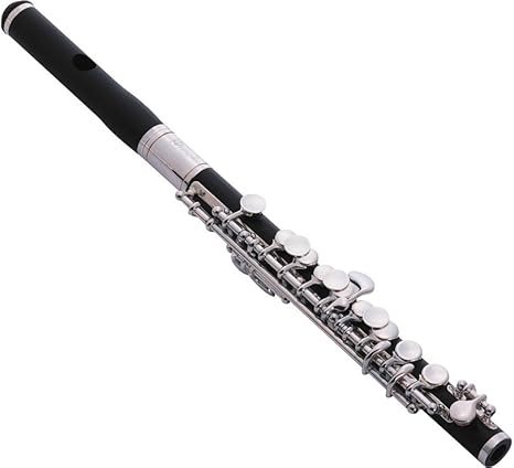 Get Piccolo Instrument Description Background