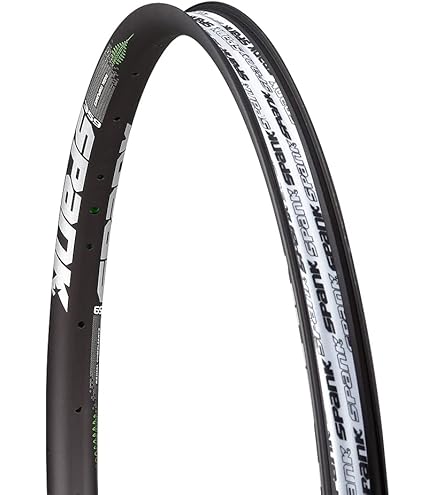 Amazon.com : DT Swiss G540 700C 24H Rim : Sports & Outdoors