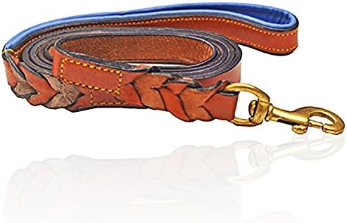 PetsUp Padded Leather Dog Collars and Leashes (Royal Leash- Tan\Blue, Small)