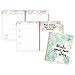 AT-A-GLANCE Weekly / Monthly Planner / Appointment Book 2017, 8-1/2 x 11