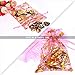 SumDirect Rose Drawstring Organza Bags - 60Pcs 4×5 Inches Mixed Color Rose Sheer Jewelry Gift Bags, Small Mesh Valentine Bags for Wedding Party Festival