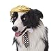 FOMATE Dog and Puppy Costume with Hair Piece Wig and Tie. Make Animals Great Again with This Wacky Political Satire Costume Perfect for Gags, Parties, and Events