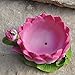Miniature Fairy Garden Lotus Teacup Planter