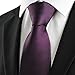 Coxeer New Striped Plum Purple Men's Tie Formal Suit Necktie Wedding Holiday Gift