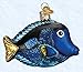 Old World Christmas Fish Collection Glass Blown Ornaments for Christmas Tree Pacific Blue Tang, 3.5