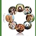 Chinco 500 Pieces Animal Stickers Zoo Animal Roll Stickers 1-1/2 Inch Self Adhesive Label Animal Shape Wall Decals for Kids Party Favors, 8 Styles
