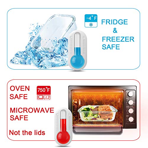 image for RENPHO [3-Pack, 36oz] Glass Meal Prep Containers - Glass Bento Box Div