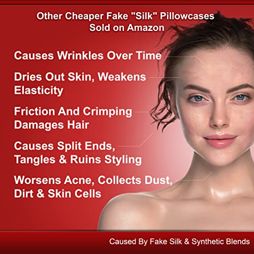 Lunar Silks Highest Grade 6A 100 Pure Mulberry Real Silk Pillowcase 22 Momme (Both Sides) for