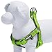 Blueberry Pet 4 Colors Soft & Comfy 3M Reflective Step-in Easter Spring Pastel Color Paddd Dog Harness, Chest Girth 15.5