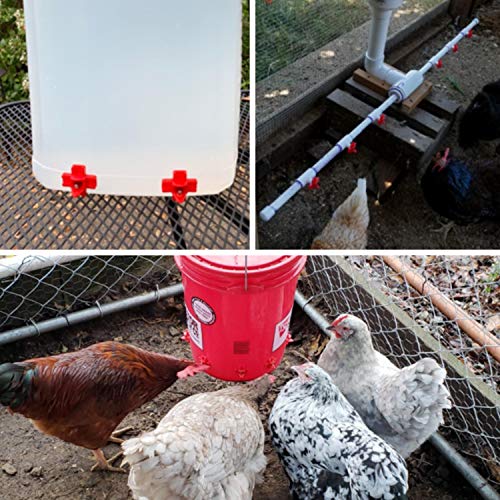 Homend 50 Pack Horizontal Side Mount Automatic Poultry Nipples