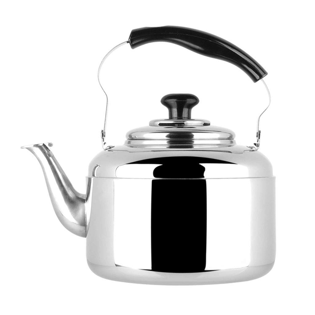 Which Is The Best Hot Water 4L Stainless Steel Non Toxic