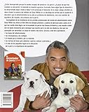Image de Las reglas de César Millán (Spanish Edition)