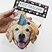 Golden Retriever Garland, dog birthday party banner decoration, Made in USA, Best Quality