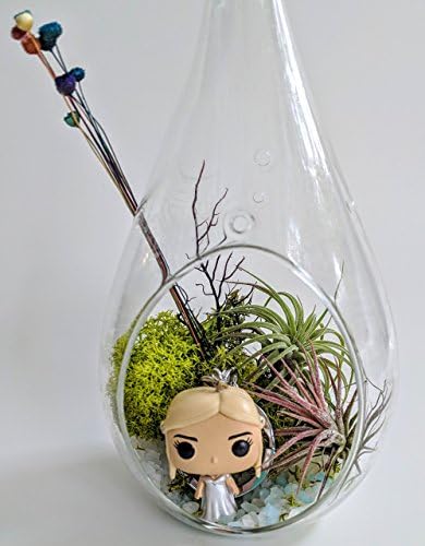 Game of Thrones: Daenerys Targaryen Terrarium Kit with Khaleesi In Wedding Dress Keychain Large 6" Glass Terrarium Tillandsia Air Plant Fairy Garden Custom Gift Box Thanks Happy Birthday Present