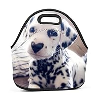 Adorable Puppy Insulated Neoprene Lunch Bag for Men Women and Kids - Reusable Soft Lunch Box for Work and School Water-Resistant 3D Printed