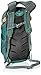 Osprey Daylite Daypack (Prior Season)