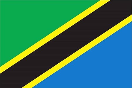 Flaggenmeer Flagge Tansania 160 G M Ca 40 X 60 Cm Amazon De Garten