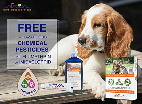 Arava Natural Flea & Tick Prevention for Dogs - 4-Doses - 100% Safe Dog Flea & Tick Control - Repels Pests with Natural Oils - Safe on Skin and Coats - Enhanced Defense & Prevention (3 Variations)