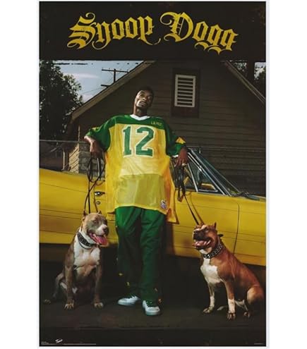 特大ポスター　正規品　100cm×65cm snoop dogg ポスター SNOOP DOGG ”DOGGY STYLE” 額入りポスター - アンティーク