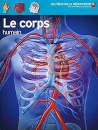 Le  corps humain