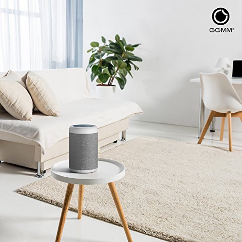 GGMM D6 Portable Speaker for Amazon Echo Dot 2nd Generation, 20W Powerful True 360 Alexa Speakers (DOT SOLD SEPARATELY)