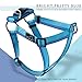 PETBABA No Pull Dog Harness, Front Clip Give Pet Choke Free Walking, Reflective Safety at Night, Step-in Vest with Martingale Handle Suitable Controlling in Heavy Traffic in Blue