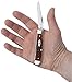Case WR XX Pocket Knife Chestnut Bone Mini Trapper Cv Item #7012 - (6207 Cv) - Length Closed: 3 1/2 Inches