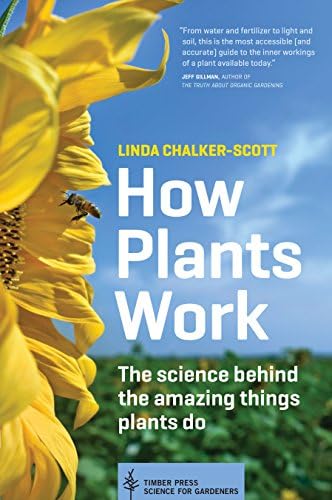 What a Plant Knows: A Field Guide to the Senses: Updated and Expanded  Edition: Chamovitz, Daniel: 9780374537128: Amazon.com: Books