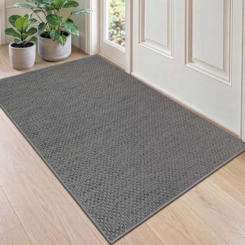 DEXI Schmutzfangmatte Innen 90 x 140 cm, rutschfeste Fußmatte, Grau