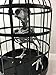 Plastic Bird Skeleton in Cage Halloween Decoration