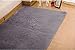 Tojwi Super Soft Modern Shag Area Rugs Living Room Carpet Bedroom Rug for Children Play Solid Home Decorator Floor Rug and Carpets 4- Feet By 5- Feet (Grey)