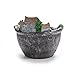 WINOMO Artificial Flowers Succulent Plants Pot Hanging Garden Design with Sweet House (Silver)