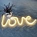 DELICORE Decorative LED Love Shaped Neon Night Light with Warm White Lamp-Neon Night Light Operated by Battery/USB for Children's Room Party Christmas Wedding Decoration