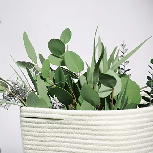 Miracliy 12 PCS Artificial Eucalyptus Stems, Mixed Eucalyptus Leaves