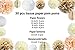 Vidal Crafts 30 Pcs Party Tissue Pom Poms Kit (14