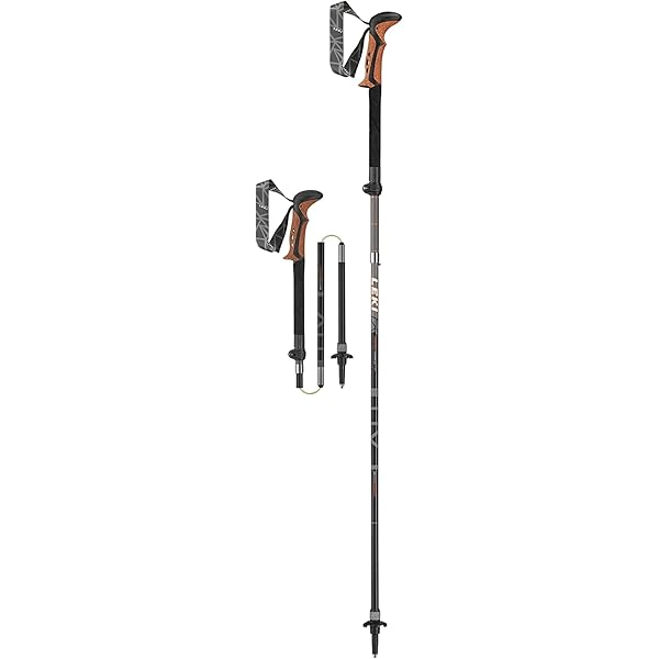 leki micro vario ti cortec trekking poles