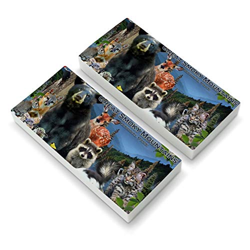 Great Smoky Mountains National Park Animals North Carolina Tennessee Eraser Set of 2